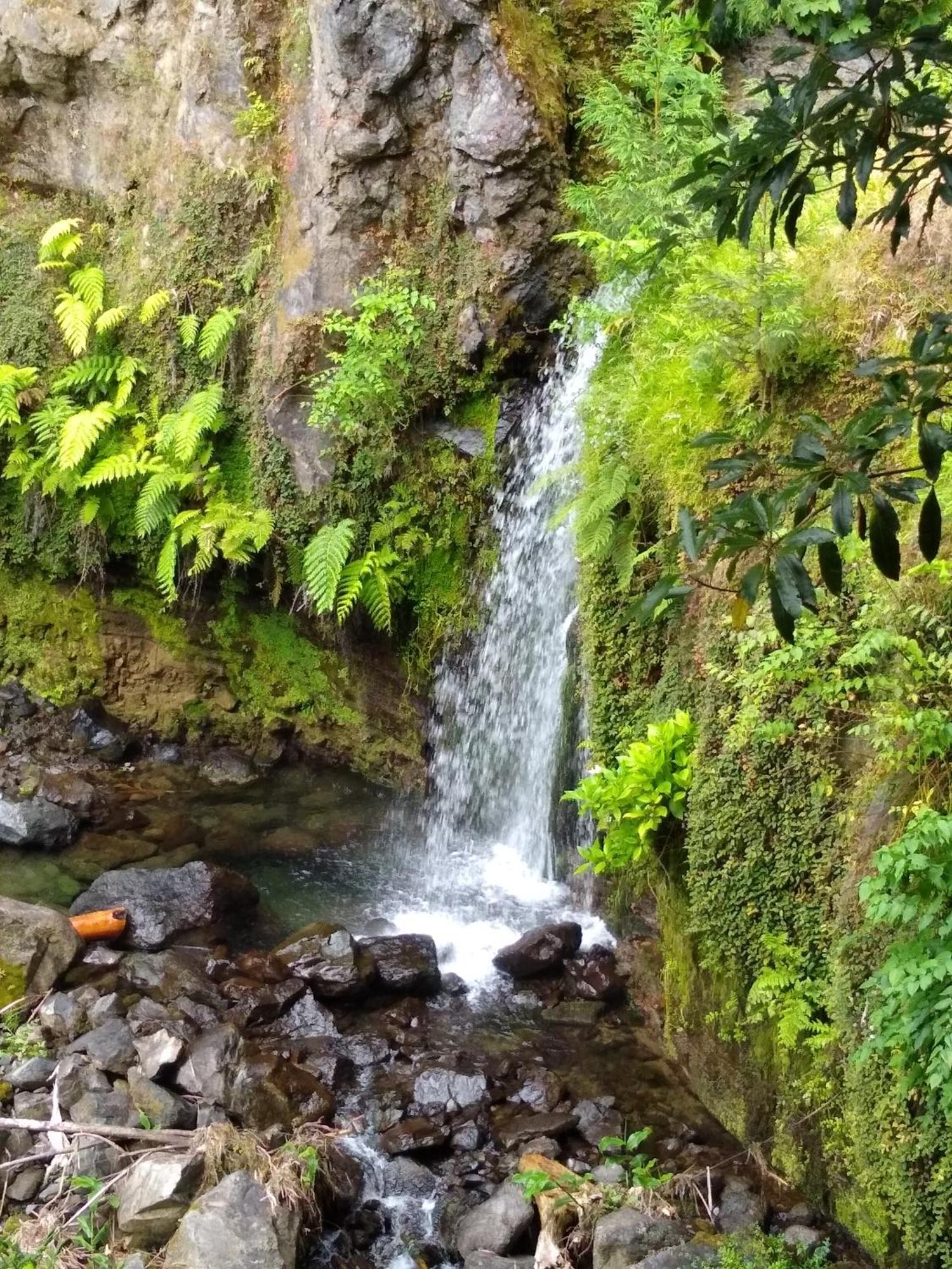 Pousada Da Vila Vila Franca do Campo Buitenkant foto